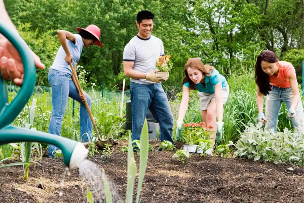 Projeto Horta Comunitaria