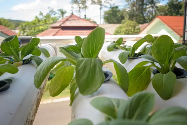 Horta Vertical PVC